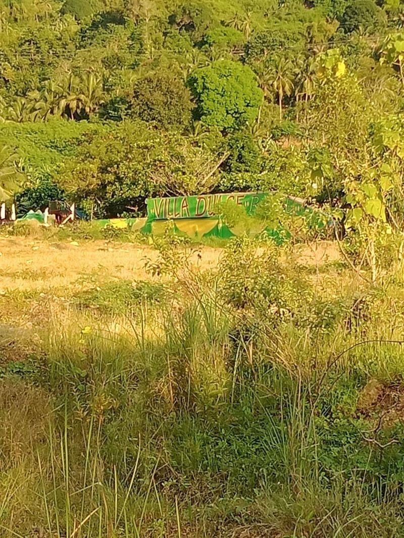 5.4 Hectares Land Properties for Sale in Naga City Cebu