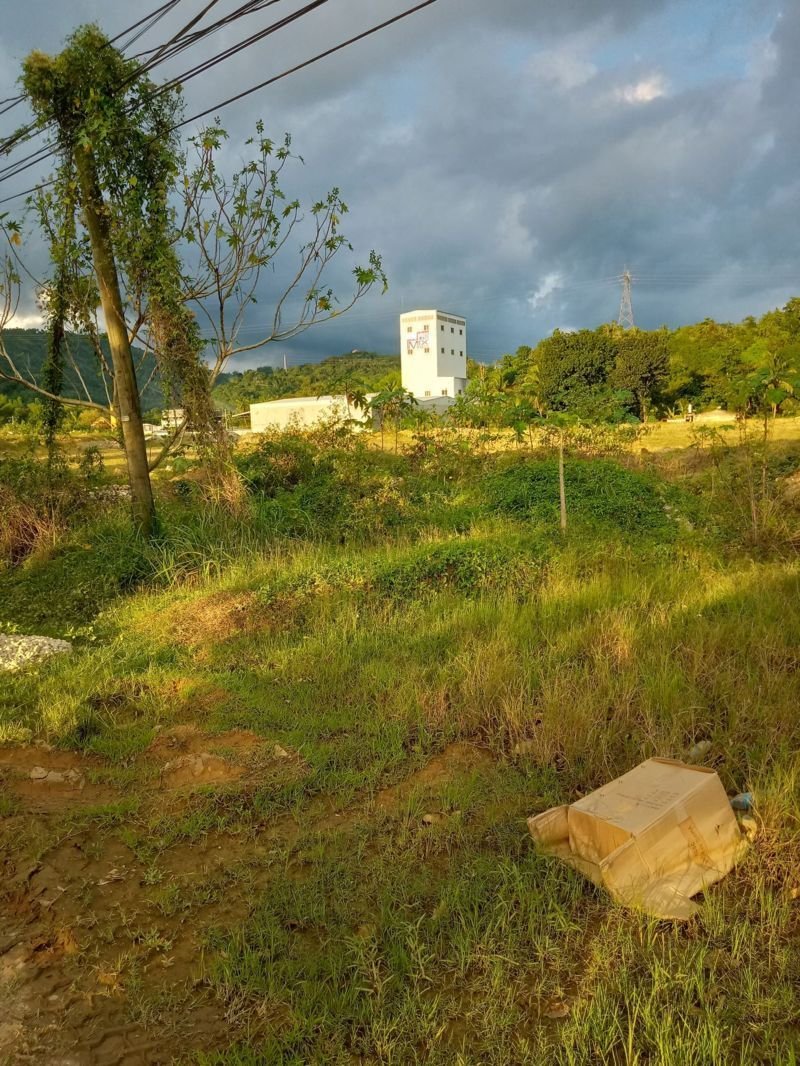 5.4 Hectares Land Properties for Sale in Naga City Cebu