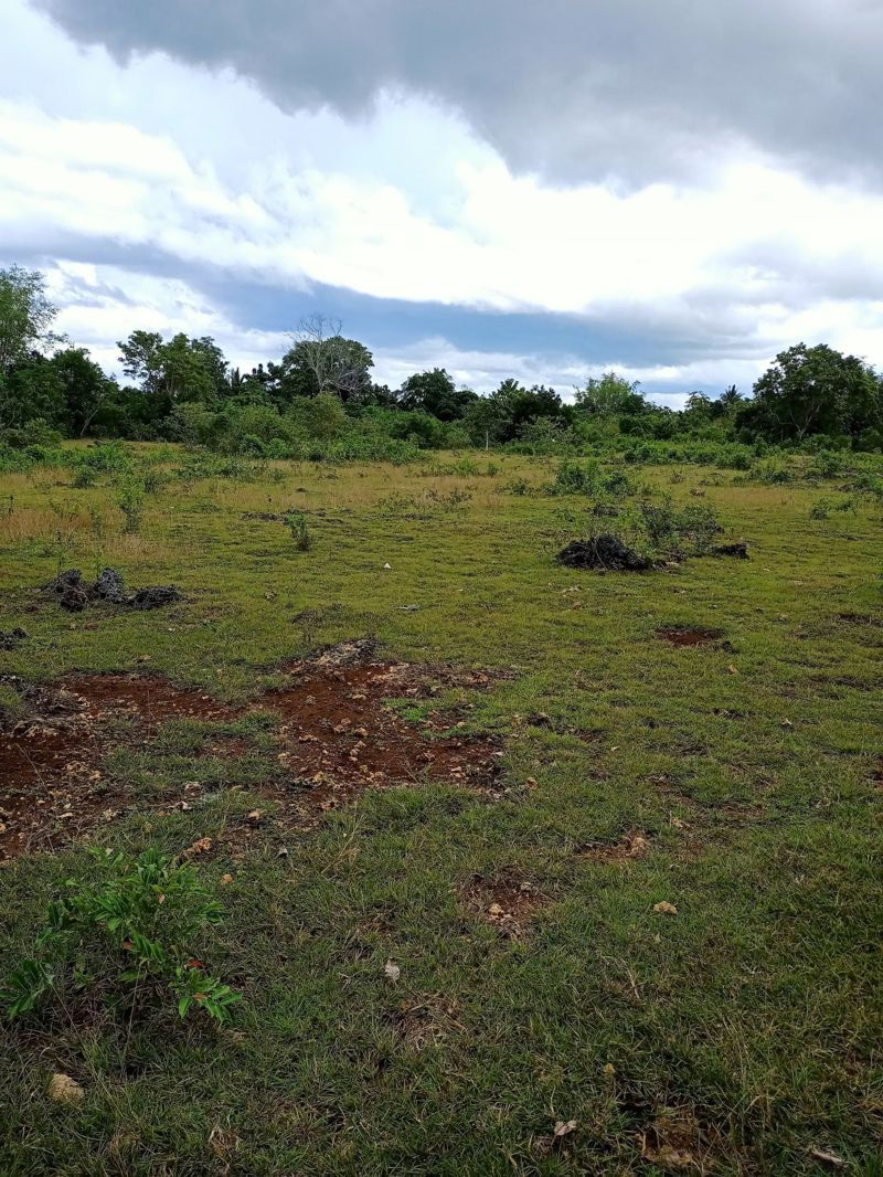 near airport -01