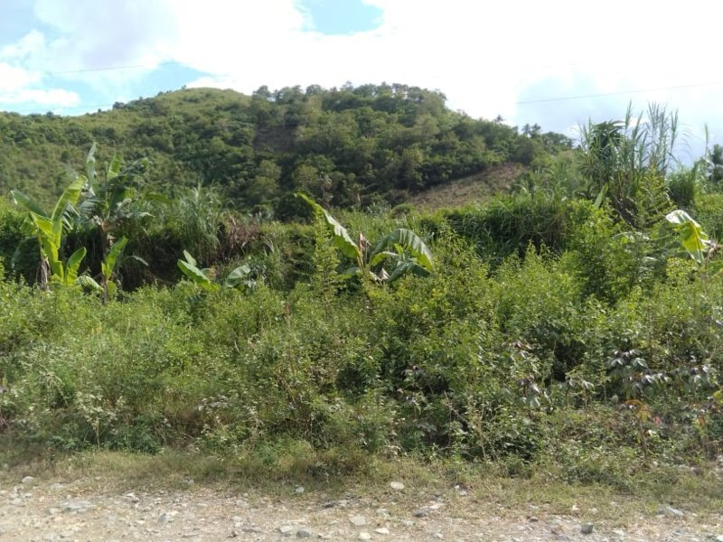 land for sale in sagay awihao toledo city - 01