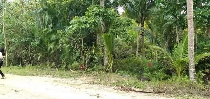 sagbayan bohol properties -02
