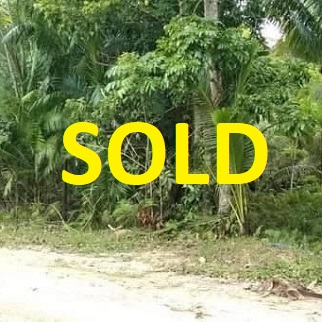Click below for 5 Hectares Land in Sagbayan
