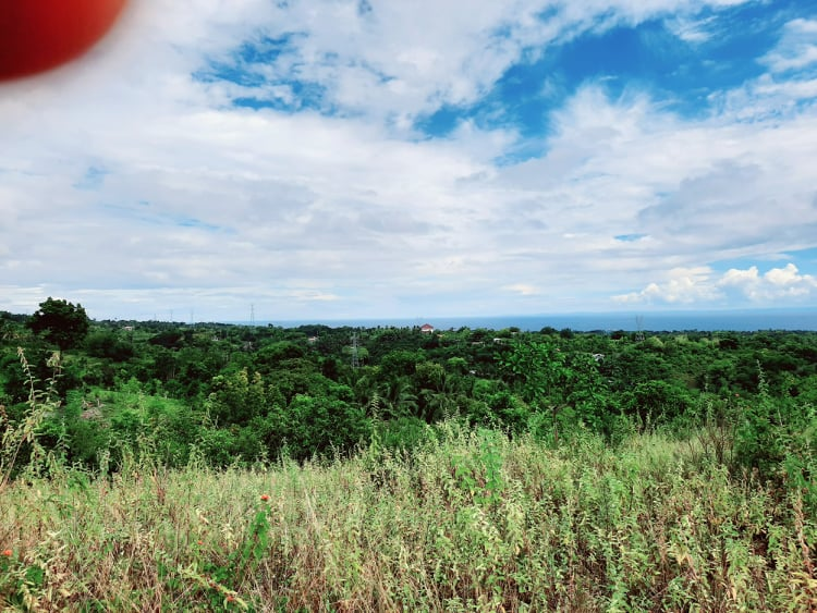 lot for sale san fernando cebu -01