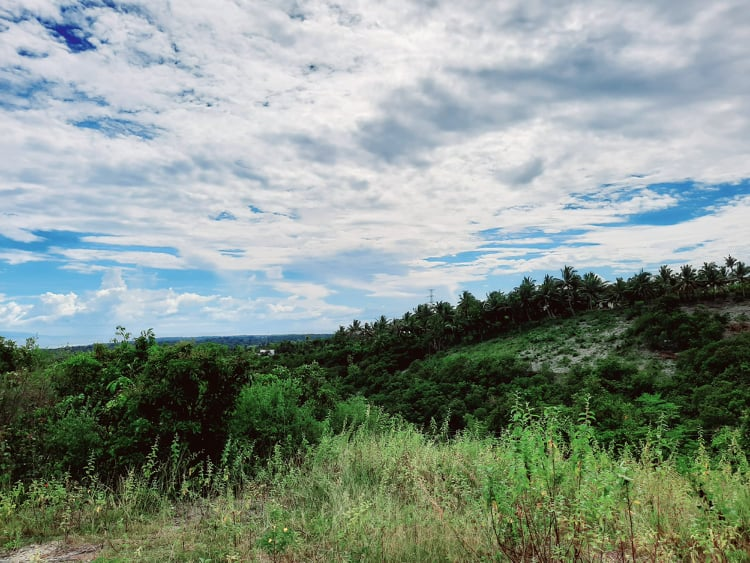 lot for sale san fernando cebu -02