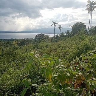 overlooking lot for sale in santander cebu philippines