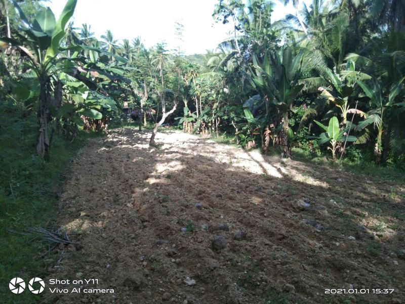 land properties for sale in sibonga cebu - 07