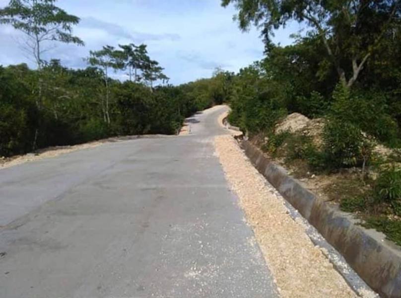 1.2 Hectares Land for Sale in Sta Lucia Asturias Cebu