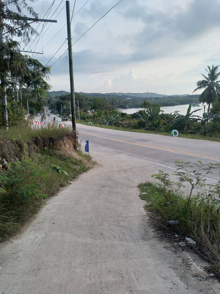 lot along hiway for sale in tabuelan cebu - 04