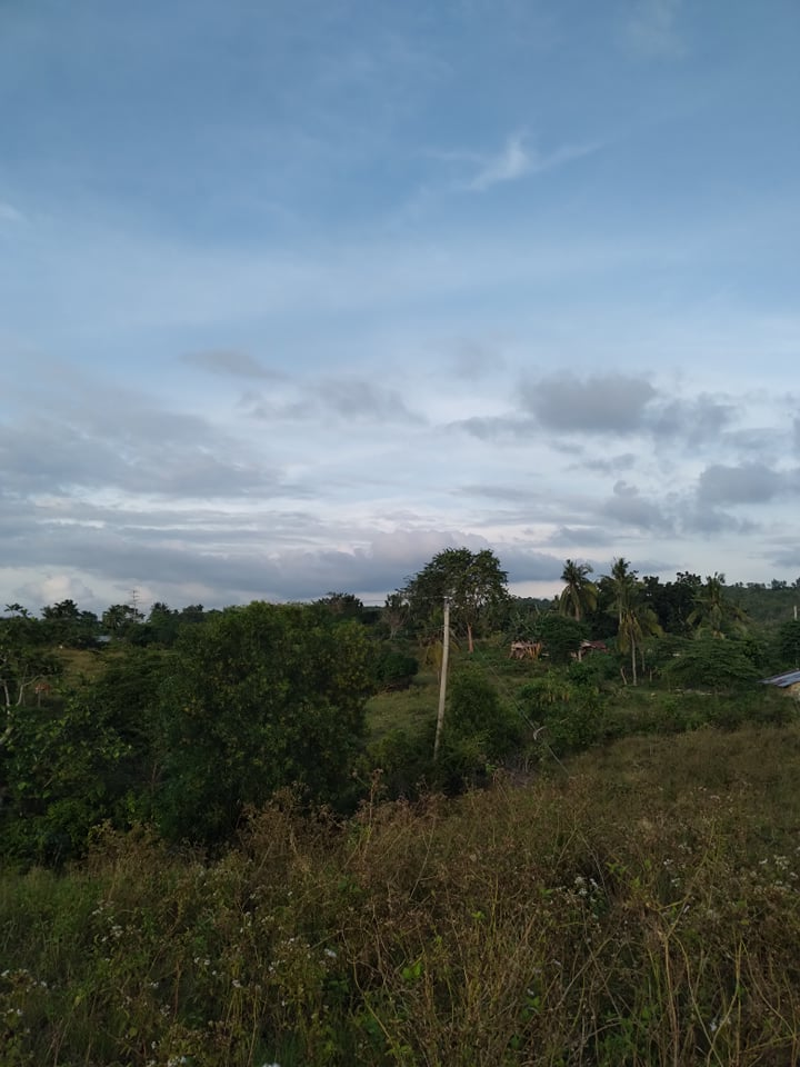 lot along hiway for sale in tabuelan cebu - 07