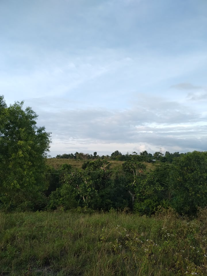 lot along hiway for sale in tabuelan cebu - 09