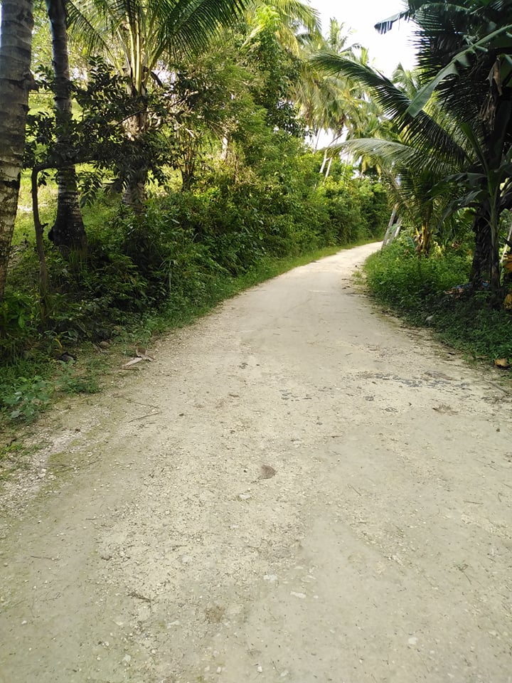 hectares land properties for sale in tulang argao cebu - 01