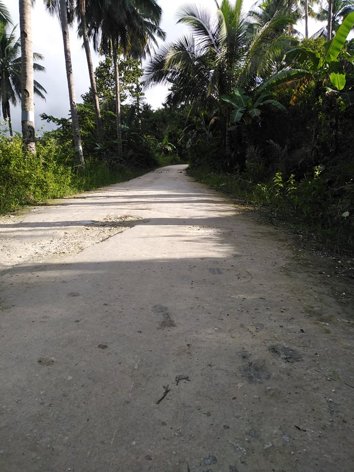 hectares land properties for sale in tulang argao cebu - 02