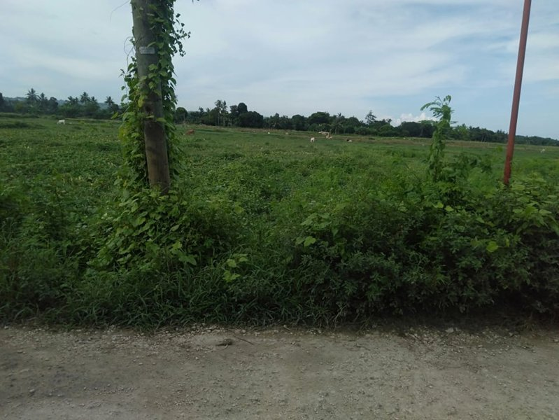 tuyom -02