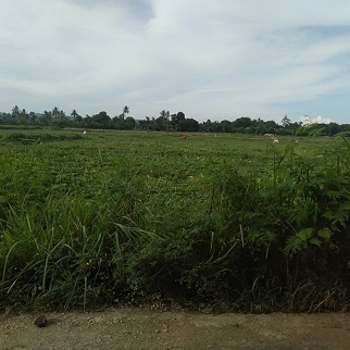 land for sale in tuyom carcar city cebu philippines