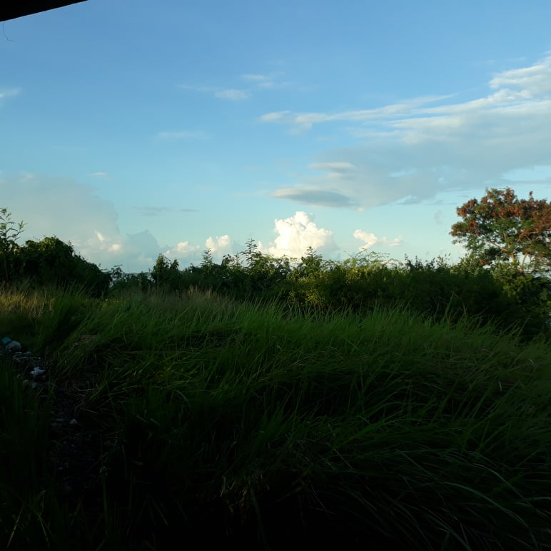 ubay resort -25