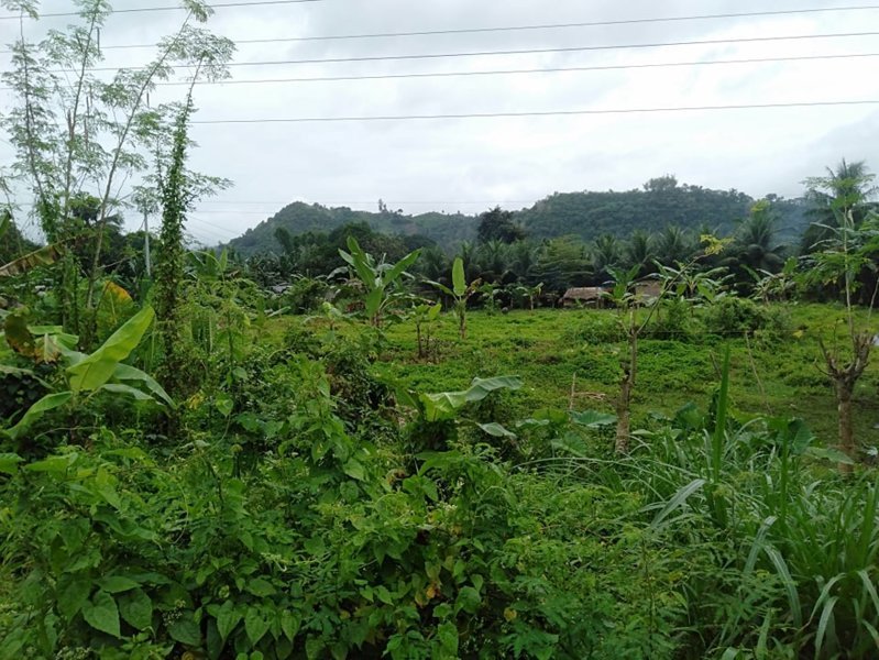 250 Hectares Very Big Lot for Sale in Toledo City Cebu