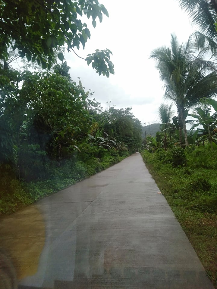 hectares very big lot for sale in toledo city cebu - 06