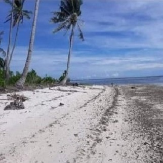 Click below for White Sand Land in Panglao